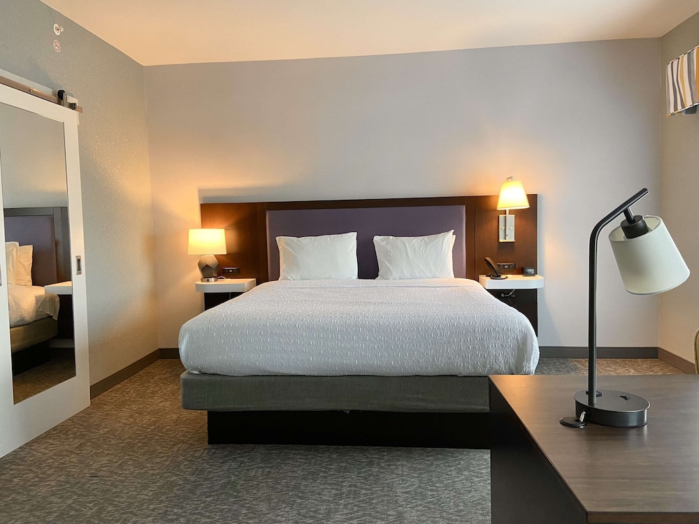 Studio, 1 King Bed, Refrigerator & Microwave (Wet bar)