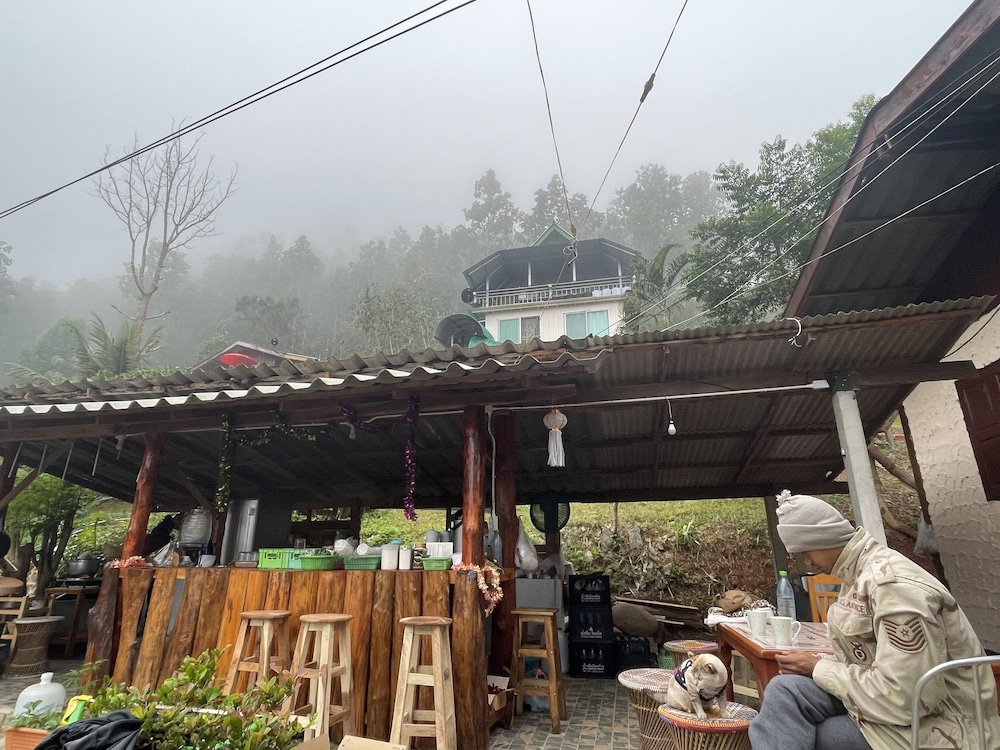 Forest Long Stay