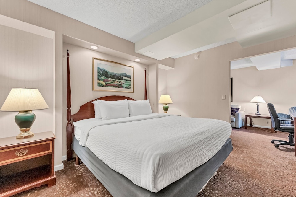 Studio Suite, 1 King Bed - Photo 4