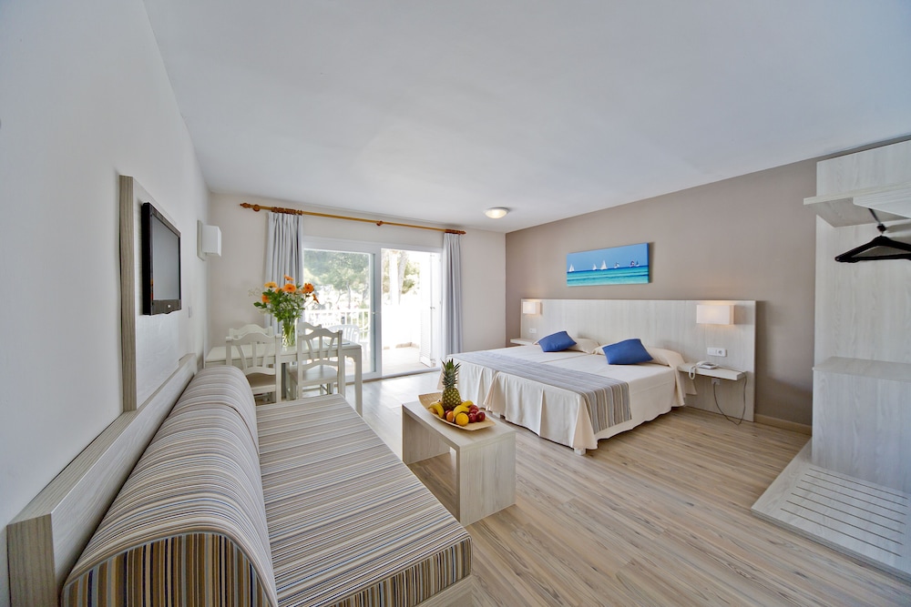 Basic Apartment, Terrace