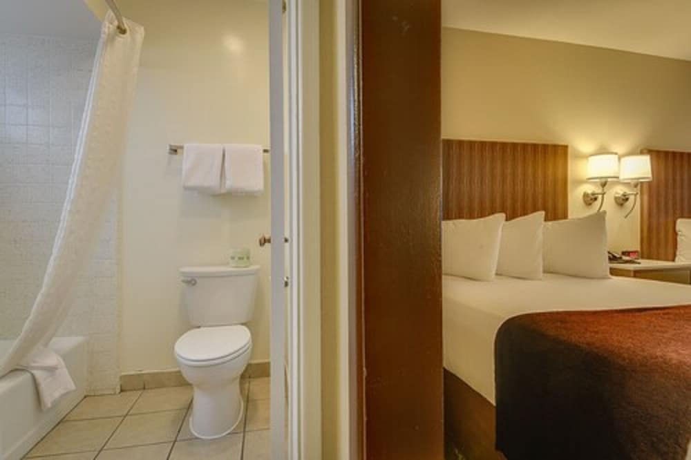 Single Room, 1 King Bed, Accessible photo 3