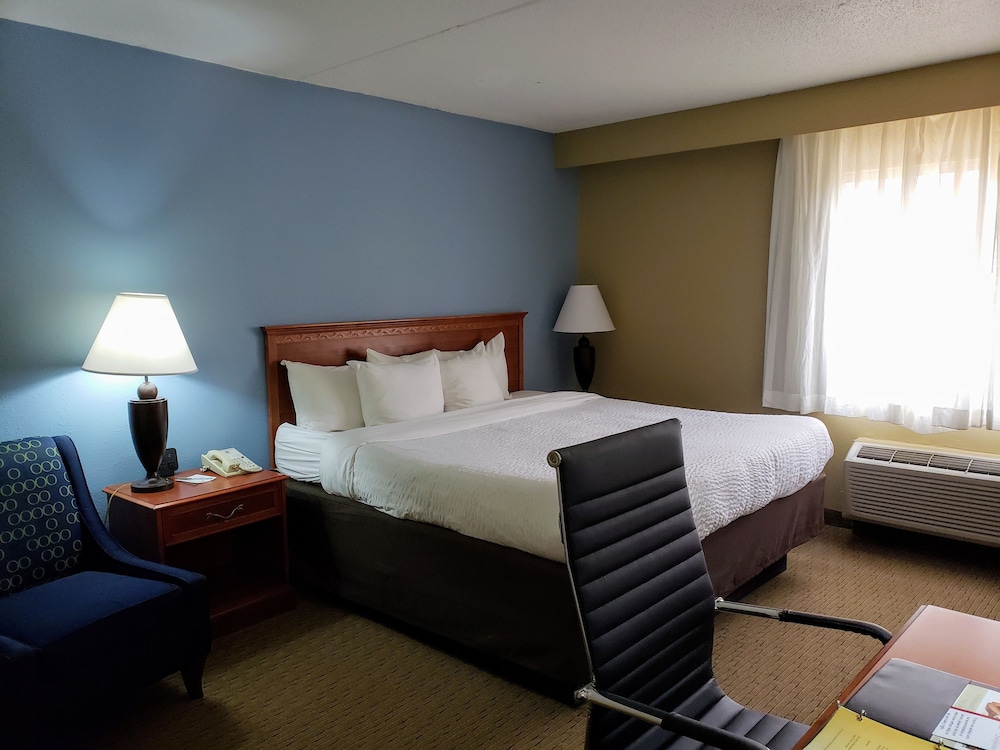 Standard Room, 1 King Bed, Non Smoking (Pet Friendly) - Photo 2