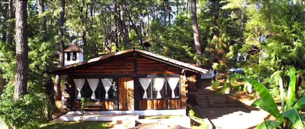 Cabin, 1 Bedroom, Kitchen