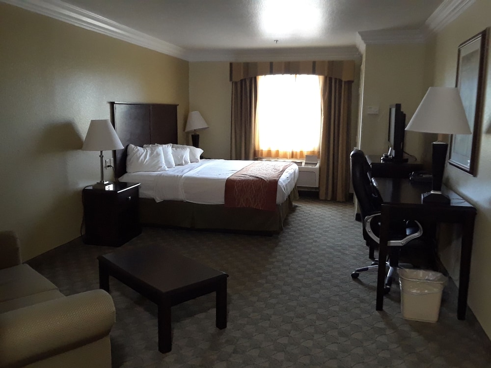 Economy Single Room, 1 King Bed - Photo 1