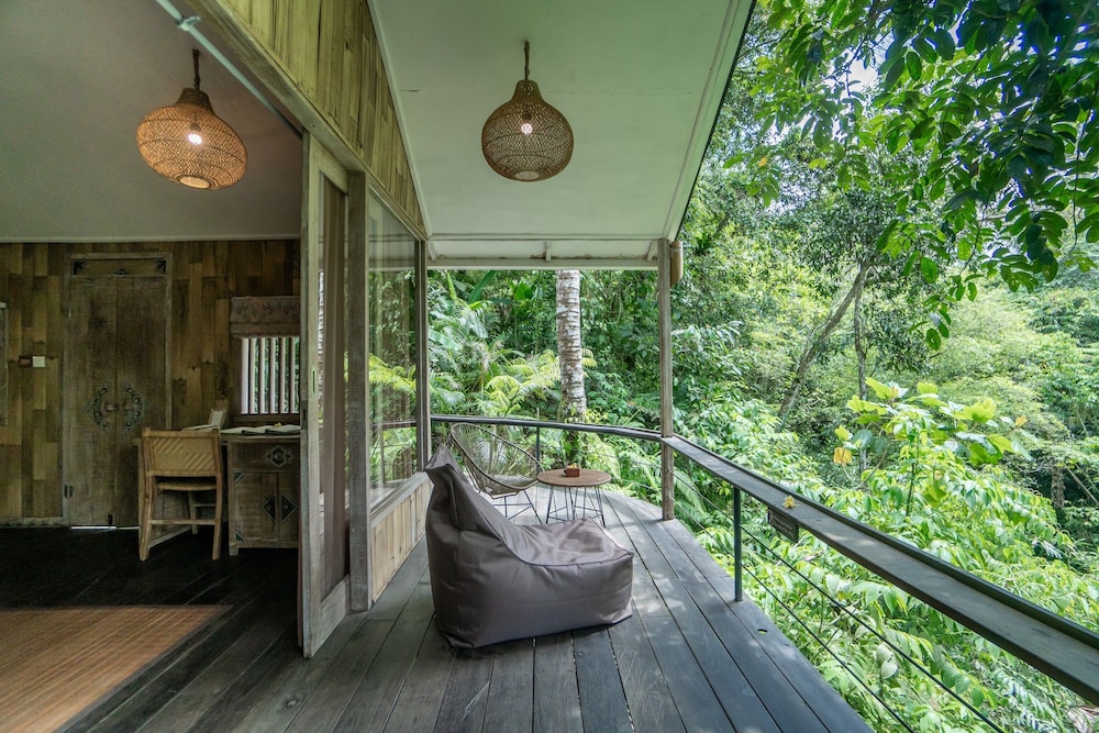 Suite Jungle Lodge With Daily Afternoon Tea