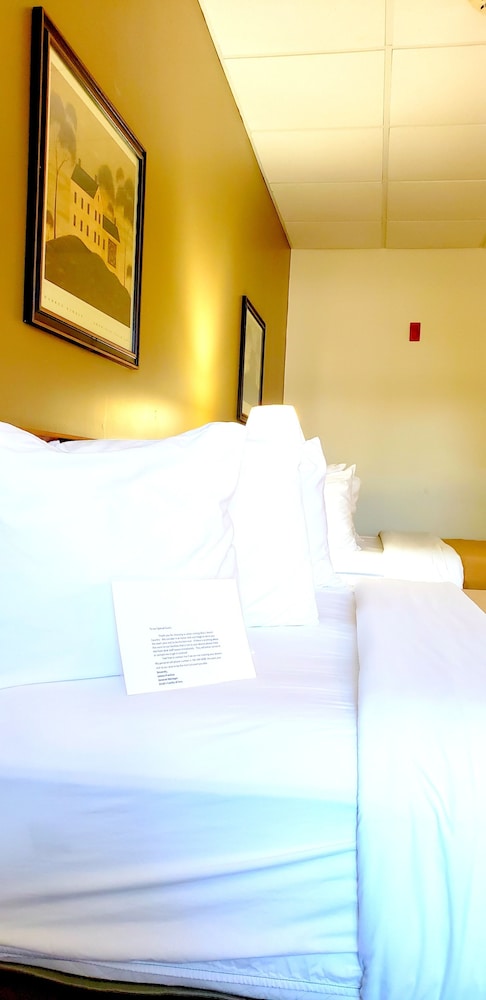Standard Room, 2 Queen Beds, Non Smoking (Pet friendly) photo 2