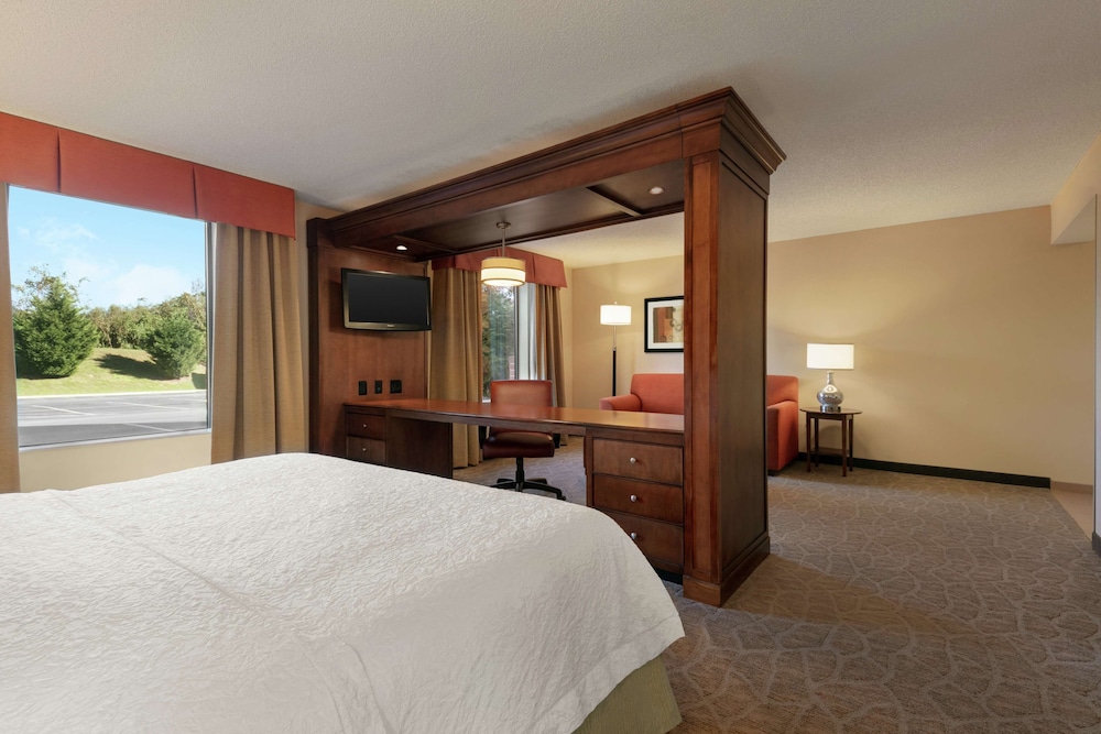Suite, 1 King Bed, Accessible, Non Smoking - Photo 2