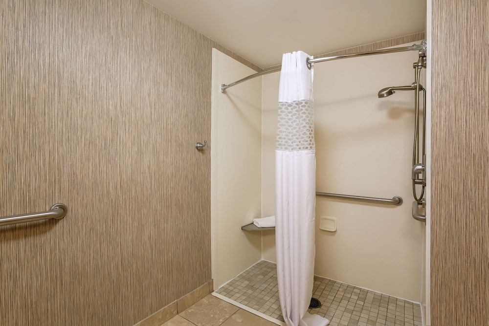 Suite, 1 King Bed, Accessible, Non Smoking (Roll-In Shower) - Photo 4