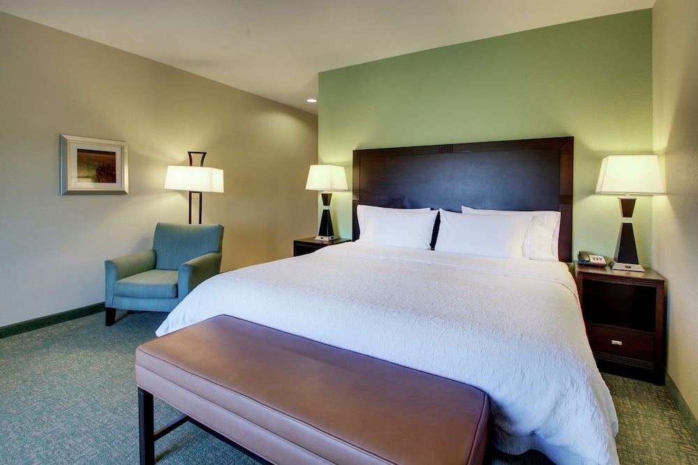 Room, 1 King Bed photo 1