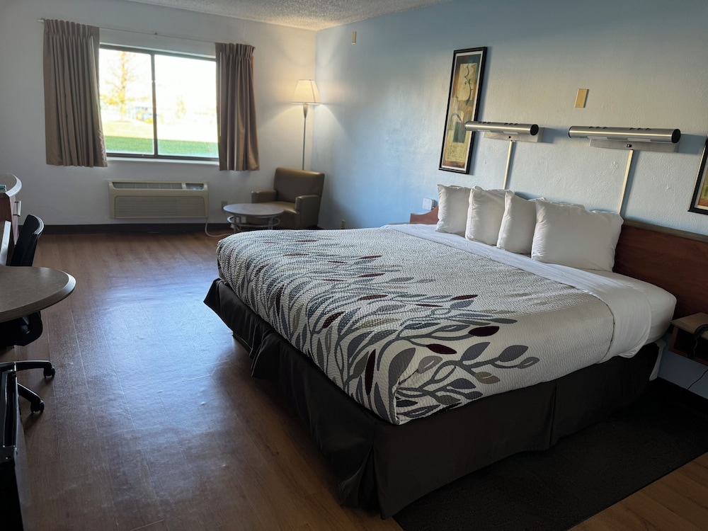 Suite, 1 King Bed with Sofa bed, Non Smoking photo 2