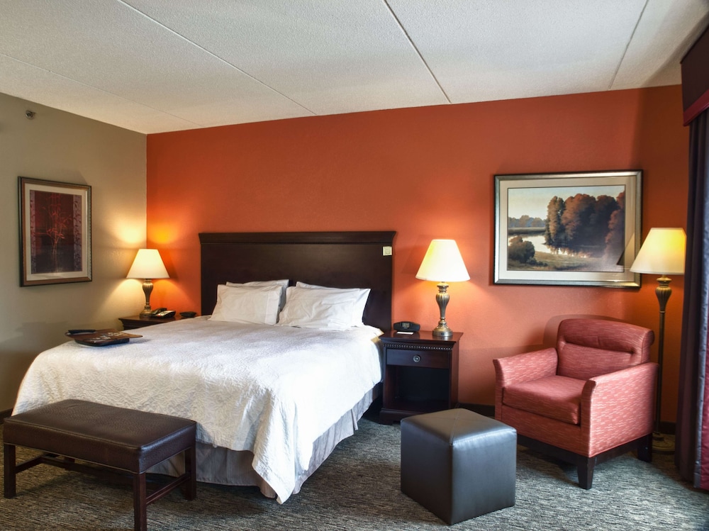 Suite, 1 King Bed, Accessible, Non Smoking - Photo 1