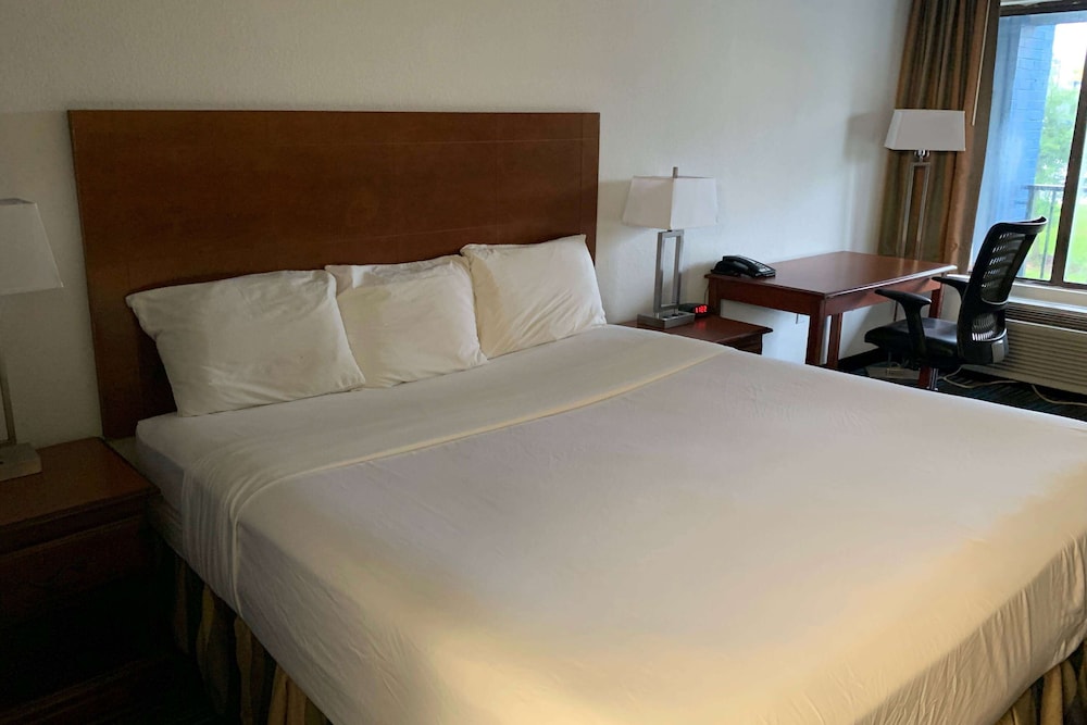 Room, 1 King Bed, Accessible, Non Smoking (Roll-In Shower) photo 1