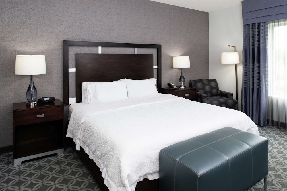 Room, 1 King Bed, Accessible, Non Smoking - Photo 4