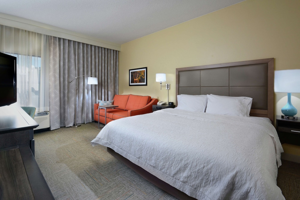Room, 1 King Bed, Accessible (Roll-in Shower) photo 1