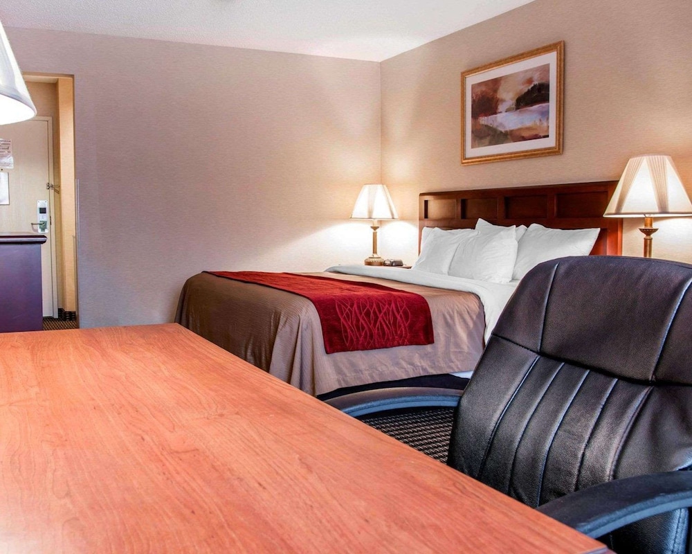 Standard Room, 1 King Bed, Non Smoking - Photo 1
