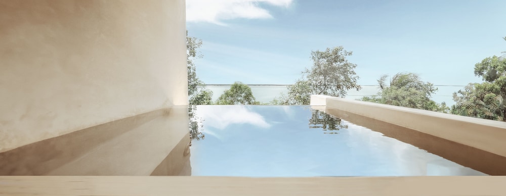 Deluxe Suite, Private pool photo 3