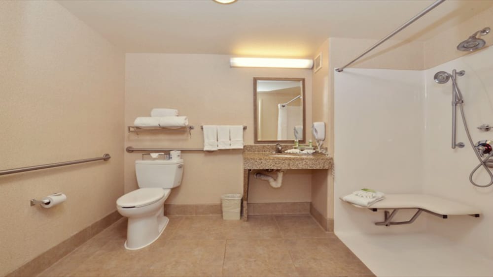 Standard Room, 1 King Bed, Roll-in Shower, Non Smoking (Communications Accessible) - Photo 2