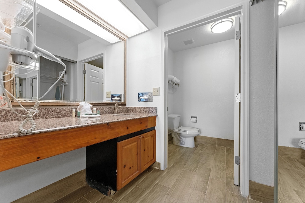 Premium Apartment photo 3