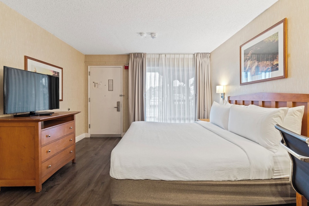 Single Room, 1 King Bed, Accessible photo 2