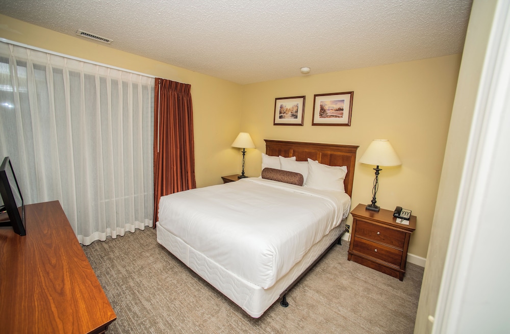 Room, 1 Queen Bed with Sofa bed, Kitchen, Beachside (Shores One Bedroom Condo) - Photo 1