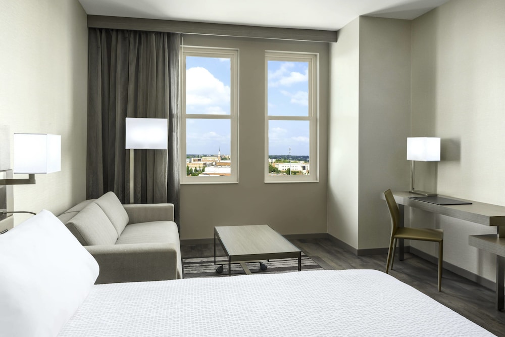 Room, 1 King Bed with Sofa bed