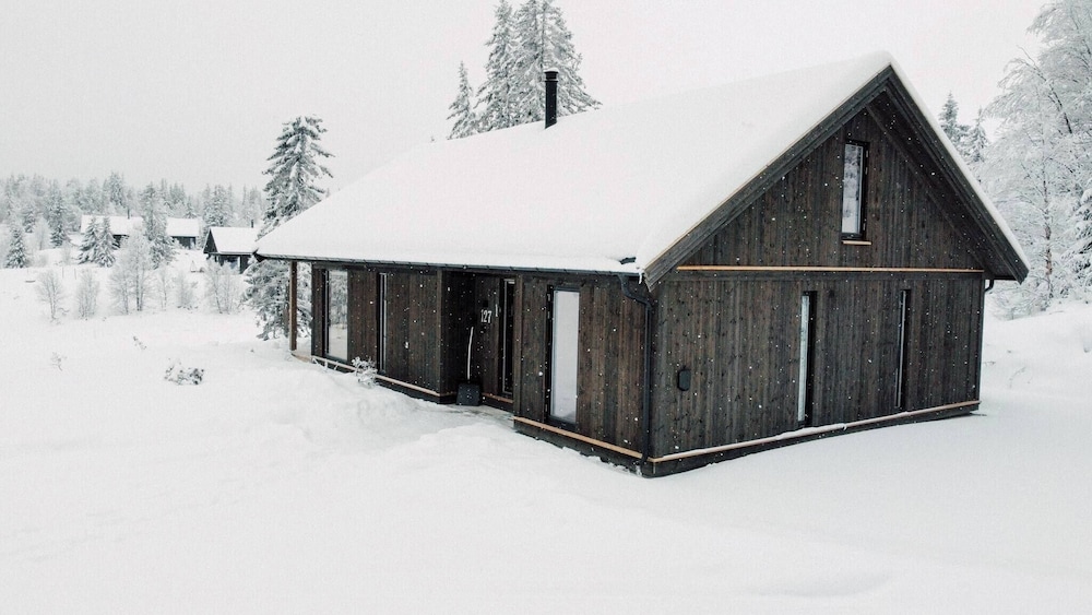 Modern Mountain Cabin - 3 Bedrooms - Sleeps 7, Billede 30