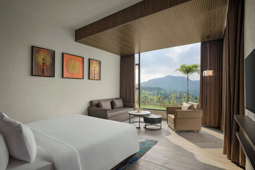 Premium Room, 1 King Bed, Mountain View