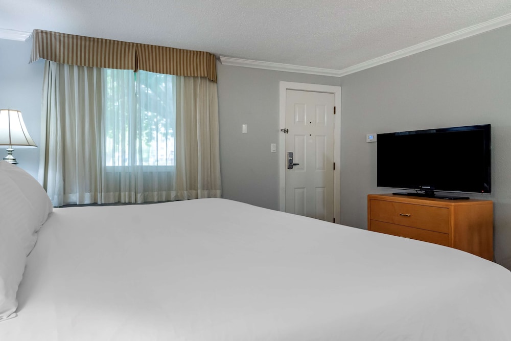 Standard Room, 1 King Bed, Non Smoking, Refrigerator & Microwave photo 3