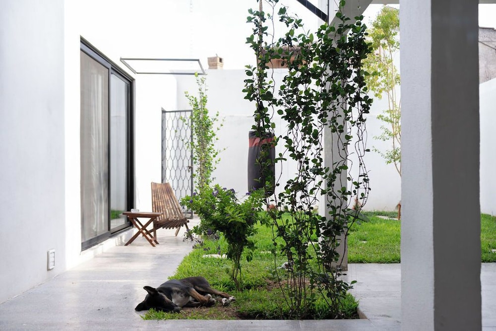 Comfort Double Room, Patio, Garden View photo 2