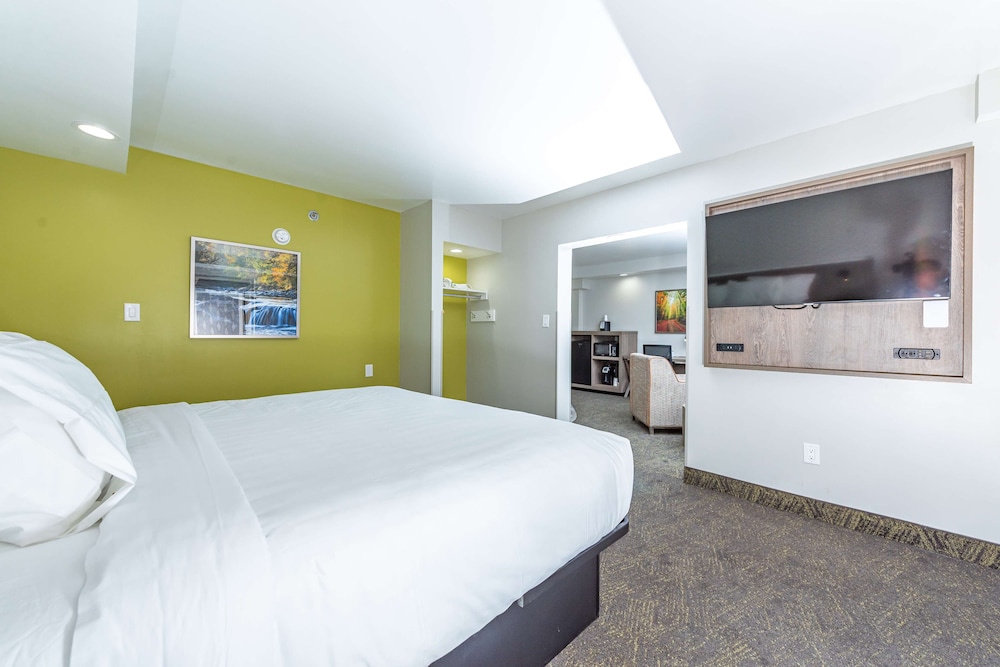 Suite, 1 King Bed, Non Smoking, Jetted Tub photo 2