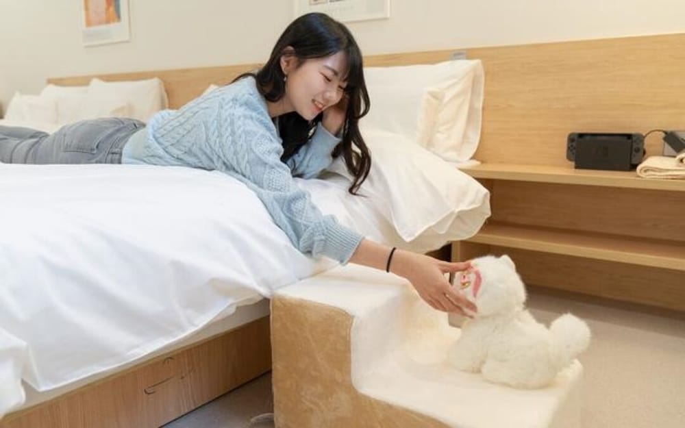 Pet Friendly photo 3