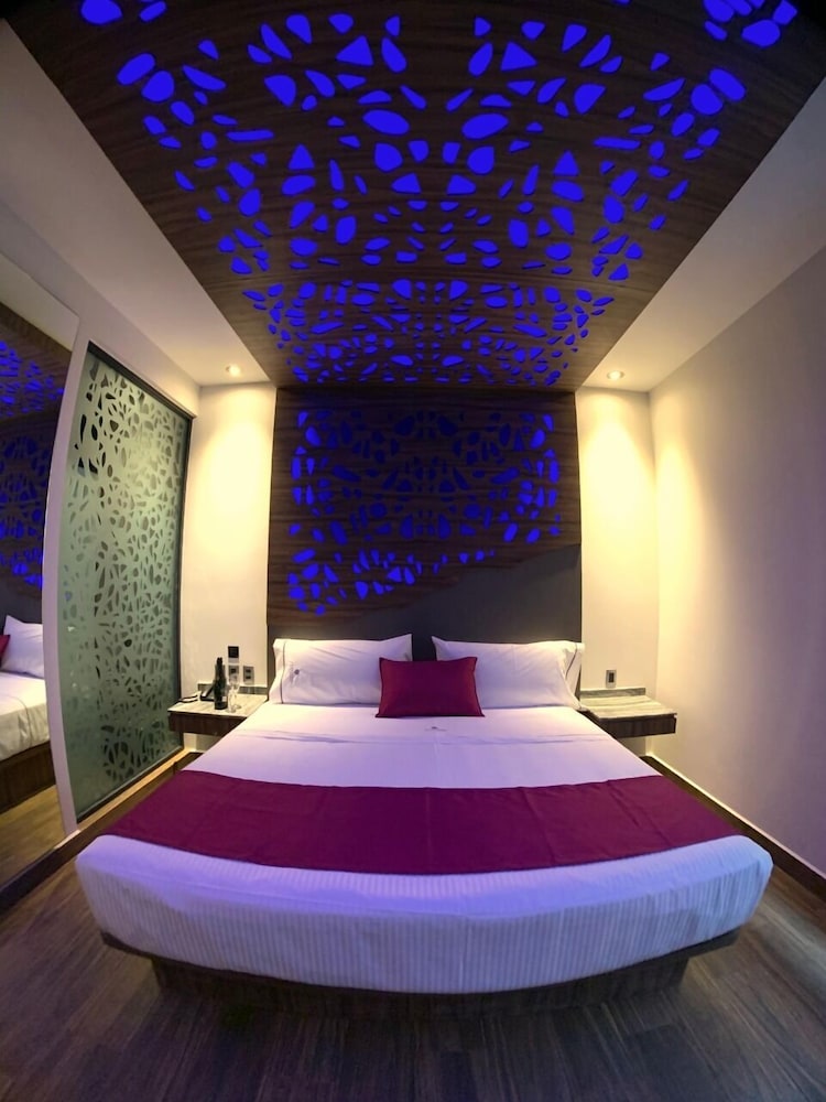 Comfort Single Room photo 1