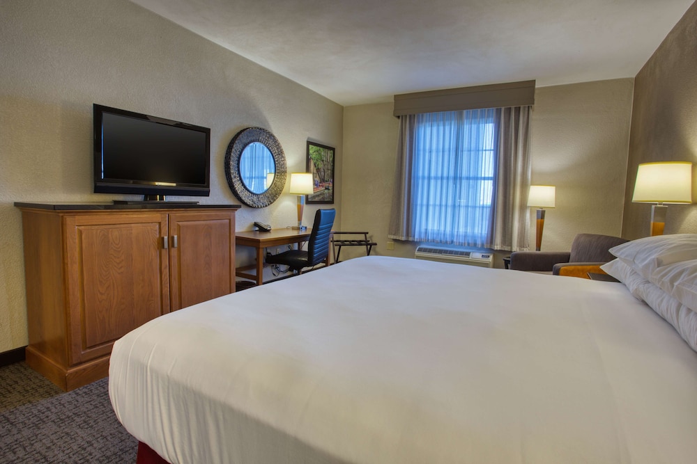 Deluxe Room, 1 King Bed, Refrigerator & Microwave - Photo 3