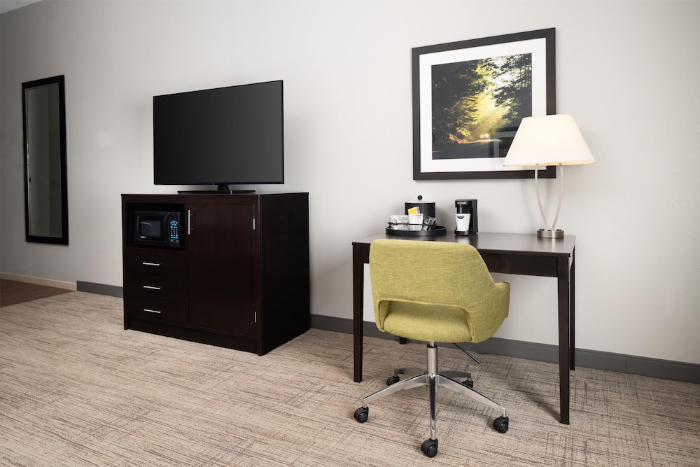 King Room, Room, Refrigerator & Microwave photo 2