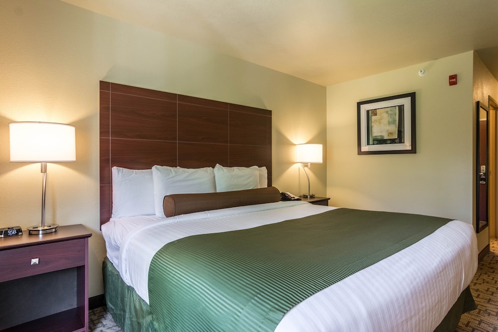 Room, 1 King Bed, Non Smoking photo 2
