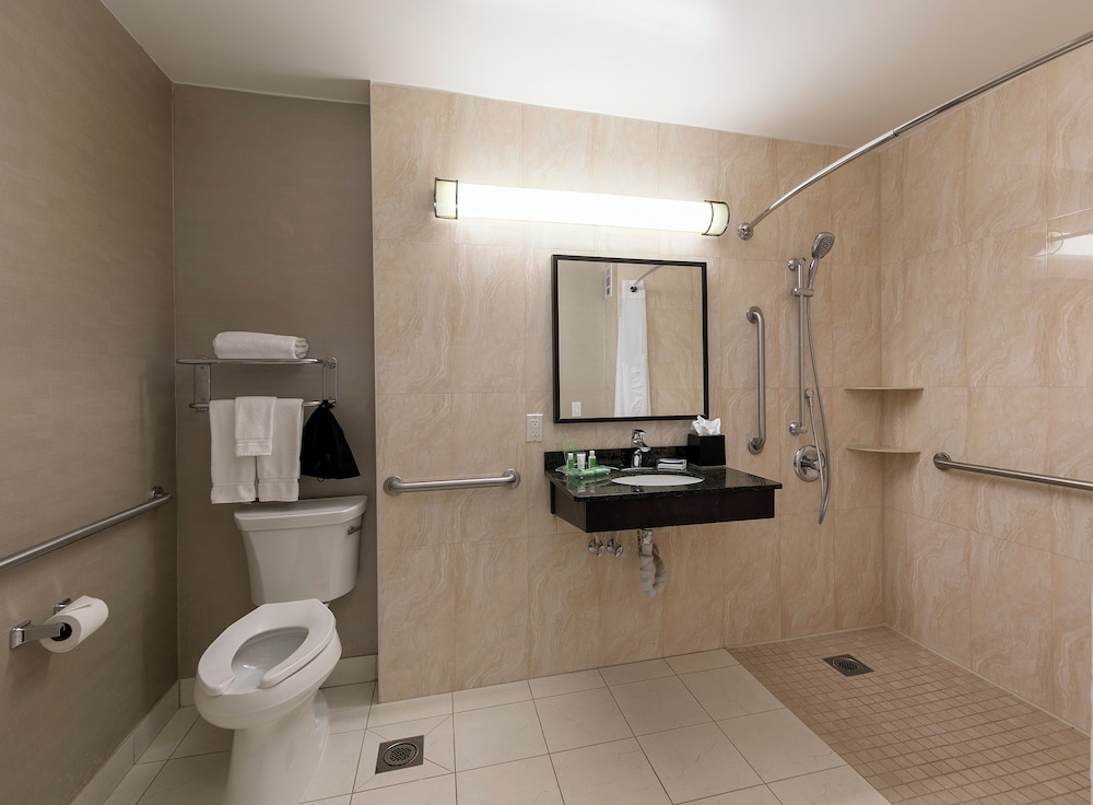 Traditional Room, 1 King Bed, Roll-in Shower photo 2