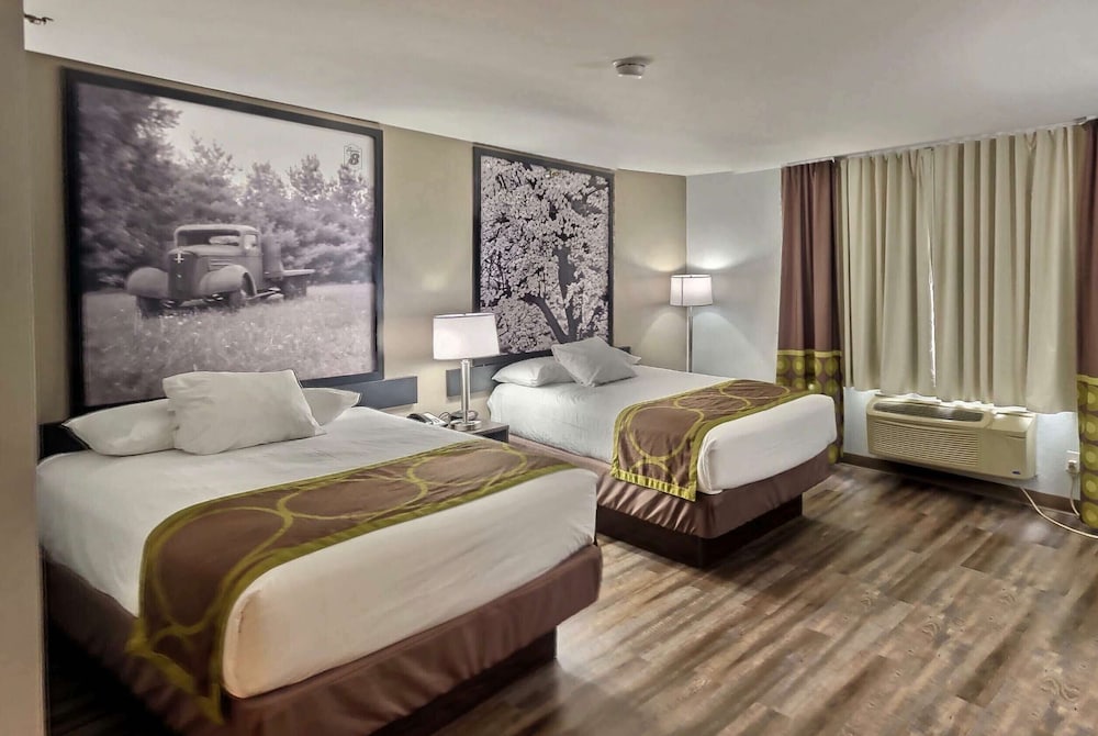 Studio Suite, Multiple Beds, Non Smoking (2 Double Beds and Sofa Bed) - Photo 1