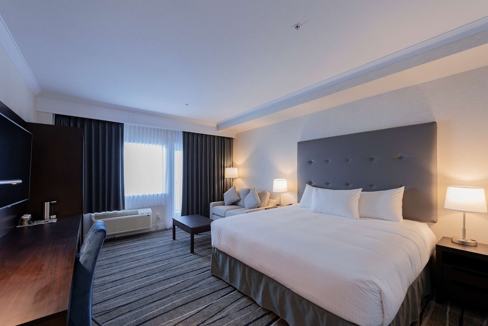 Executive Suite, 1 King Bed With Sofa Bed, Non Smoking, Refrigerator & Microwave (With Sofabed)