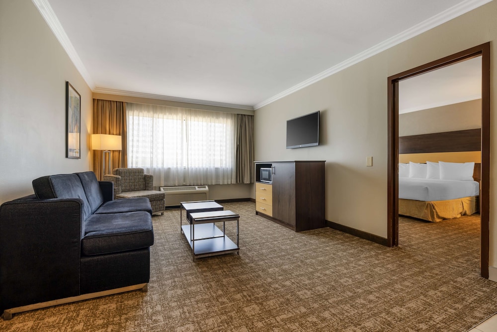 Suite, 1 King Bed, Non Smoking, Refrigerator & Microwave photo 1