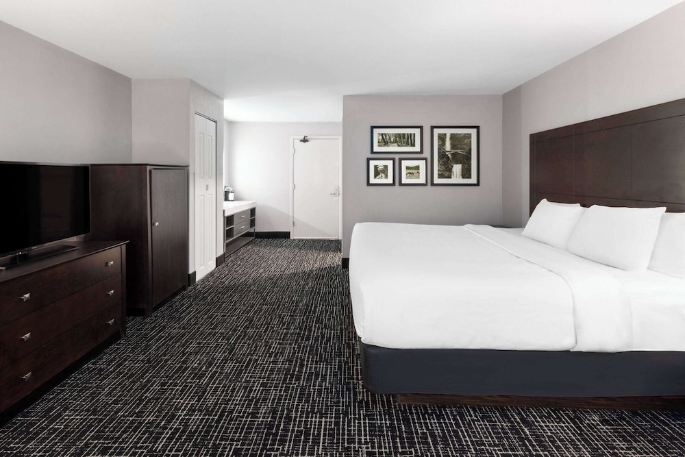 Deluxe Room, 1 King Bed, Non Smoking - Photo 4