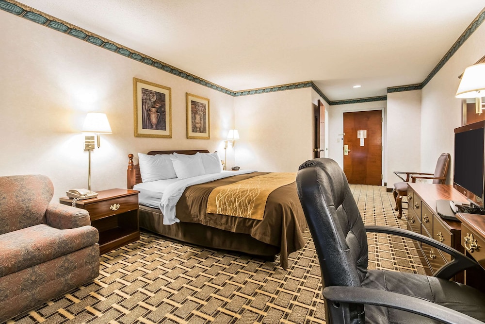 Standard Room, 1 King Bed, Non Smoking photo 2