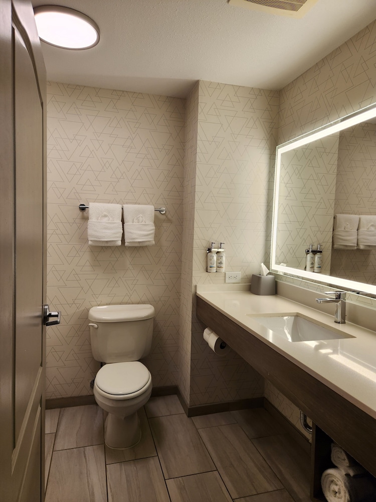 Suite, Multiple Beds