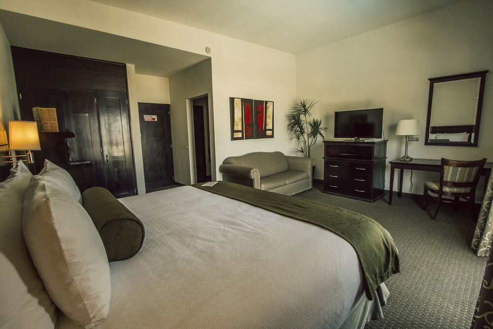 Suite, 1 King Bed photo 3