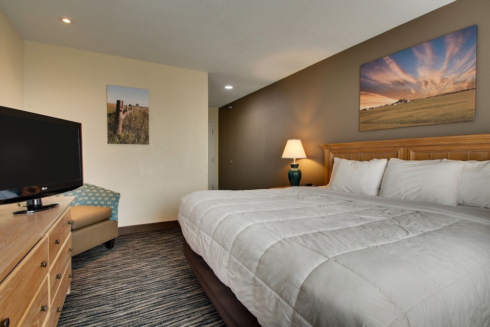 Suite, 1 King Bed photo 3