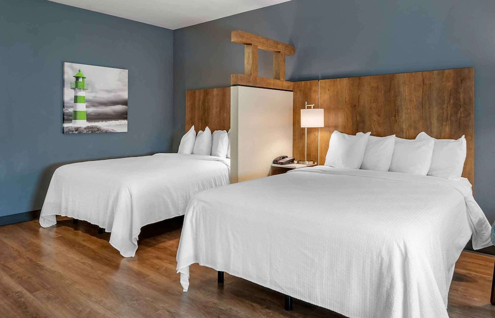 Premium Studio, 2 Queen Beds, Non Smoking, Refrigerator (Microwave) - Photo 3