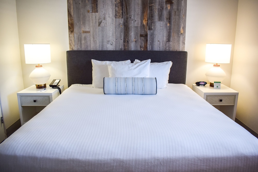 Suite, 1 King Bed - Photo 2