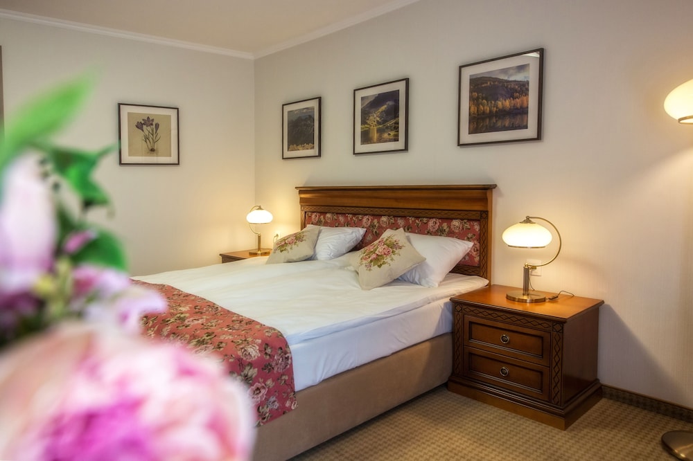 Comfort Double or Twin Room photo 1