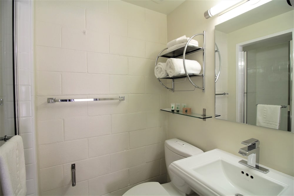 Premium Room, 1 King Bed, Non Smoking photo 3