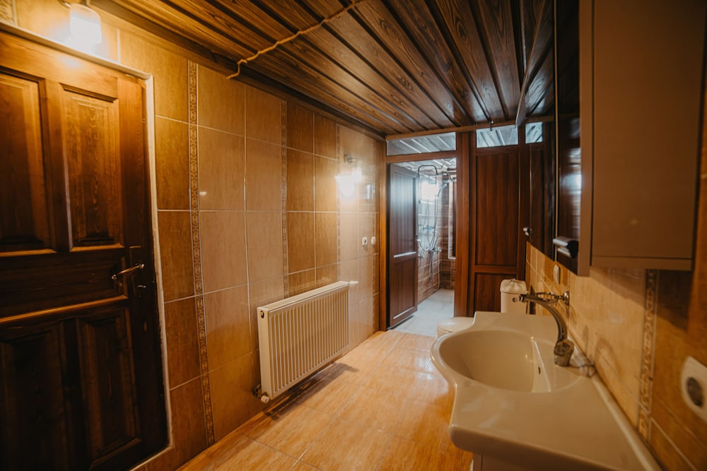 Deluxe Double or Twin Room photo 2
