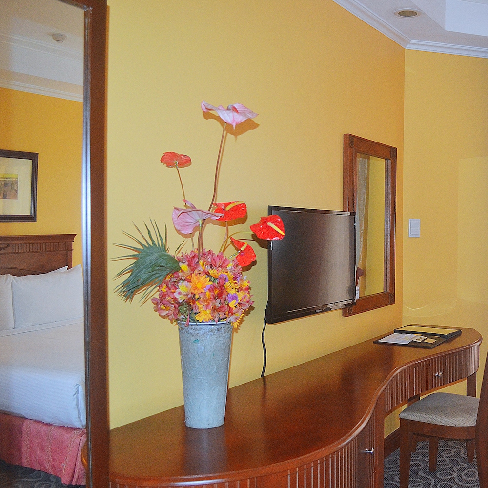 Deluxe Room - Photo 3
